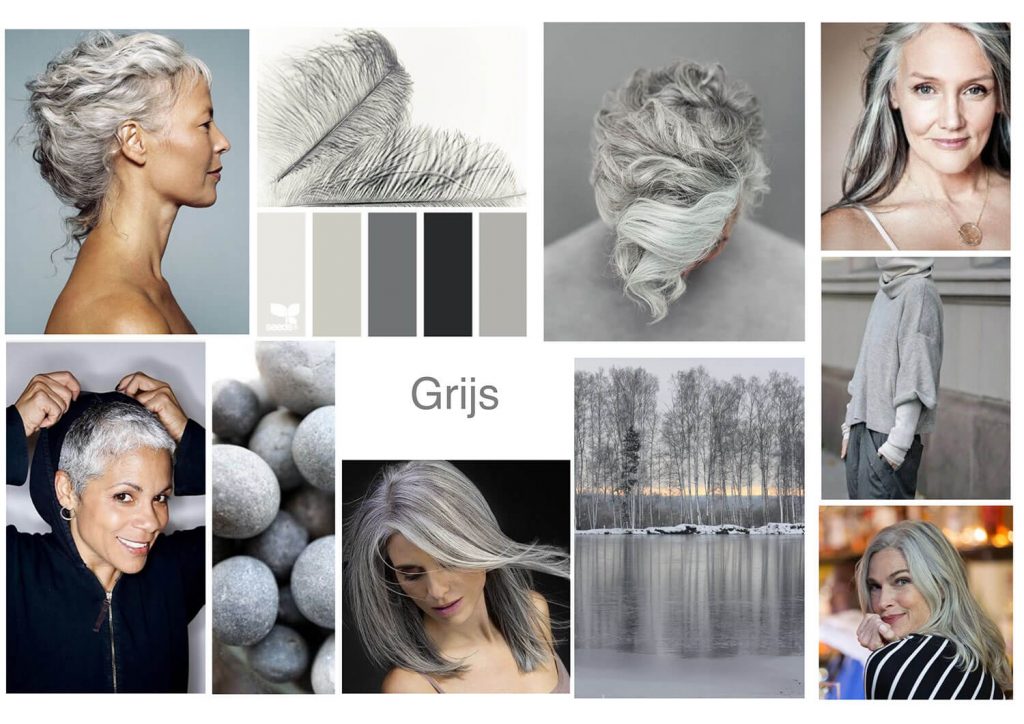 Beter Interpretatie Normaal Colourful grey | alles over grijs haar - WieWatHaar